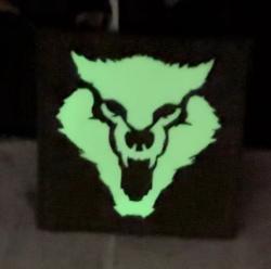 Custom laser cut Reflective Patches,Glow in dark patches